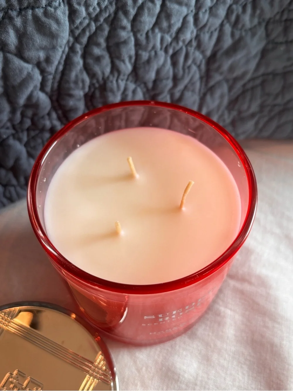 HomeWorx Sueded Rose 3 Wick Candle 14 oz Sun Rose Black Currant BRAND NEW